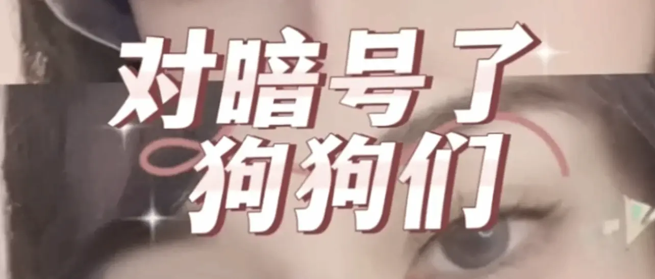 西檬之家K9是什么? 一