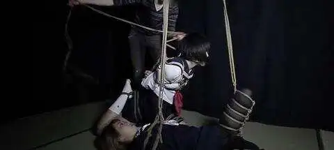 西檬之家sp小圈是什么意思? 一