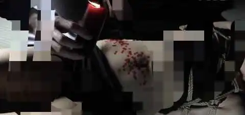 西檬之家字母圈Sub是什么意思? 一