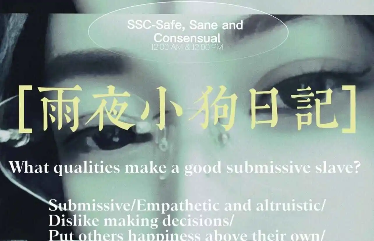 西檬之家K8是什么?字母圈新人必看 一