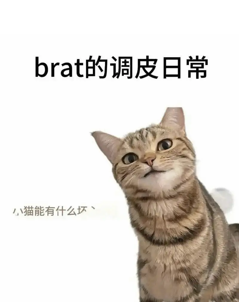 西檬之家SM到底是什么意思? 一