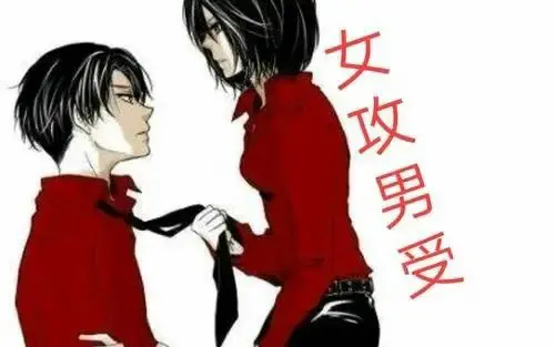 西檬之家Dom是什么意思?字母圈新人入圈 一