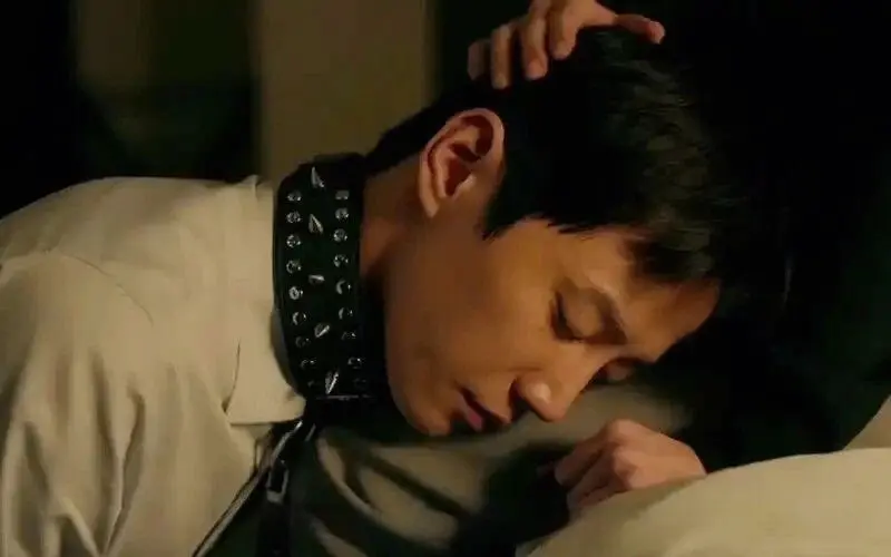 西檬之家字母圈管教是什么意思? 一