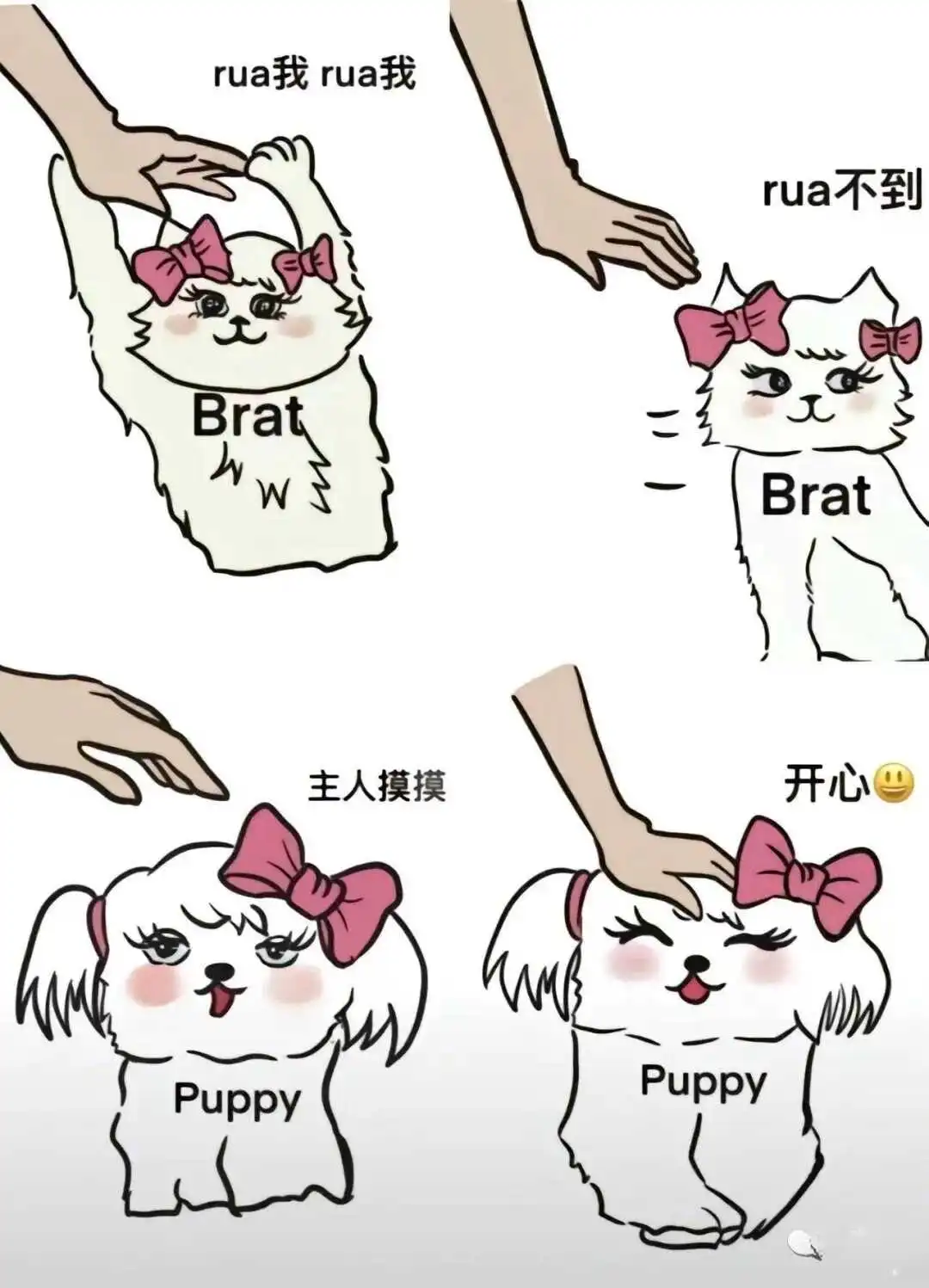 西檬之家字母圈的Aftercare是什么? 一
