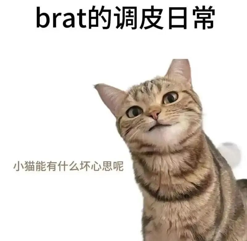 西檬之家字母圈圣水是什么? 一