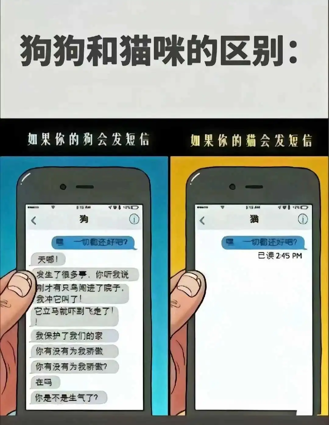 西檬之家s属性是什么意思?你的字母圈人格 一