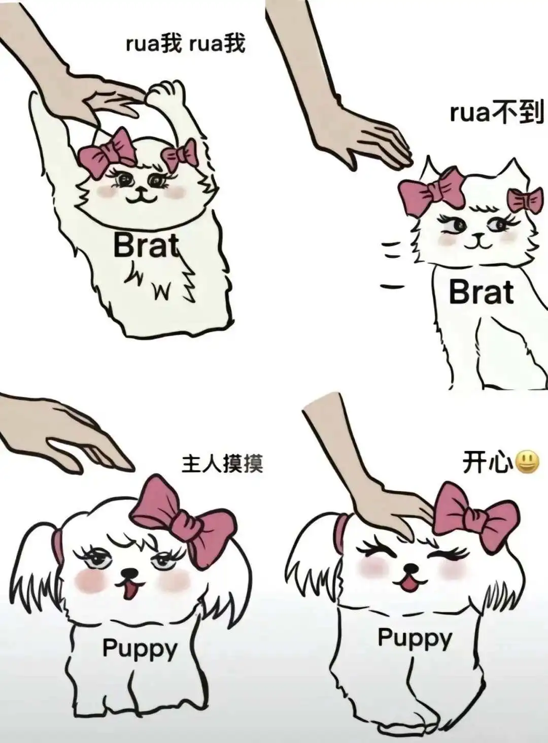 西檬之家ddlg是什么?字母圈新人入门指南 一