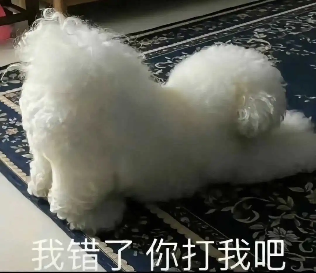 西檬之家斯慕圈是什么?新手必读入圈指南 一